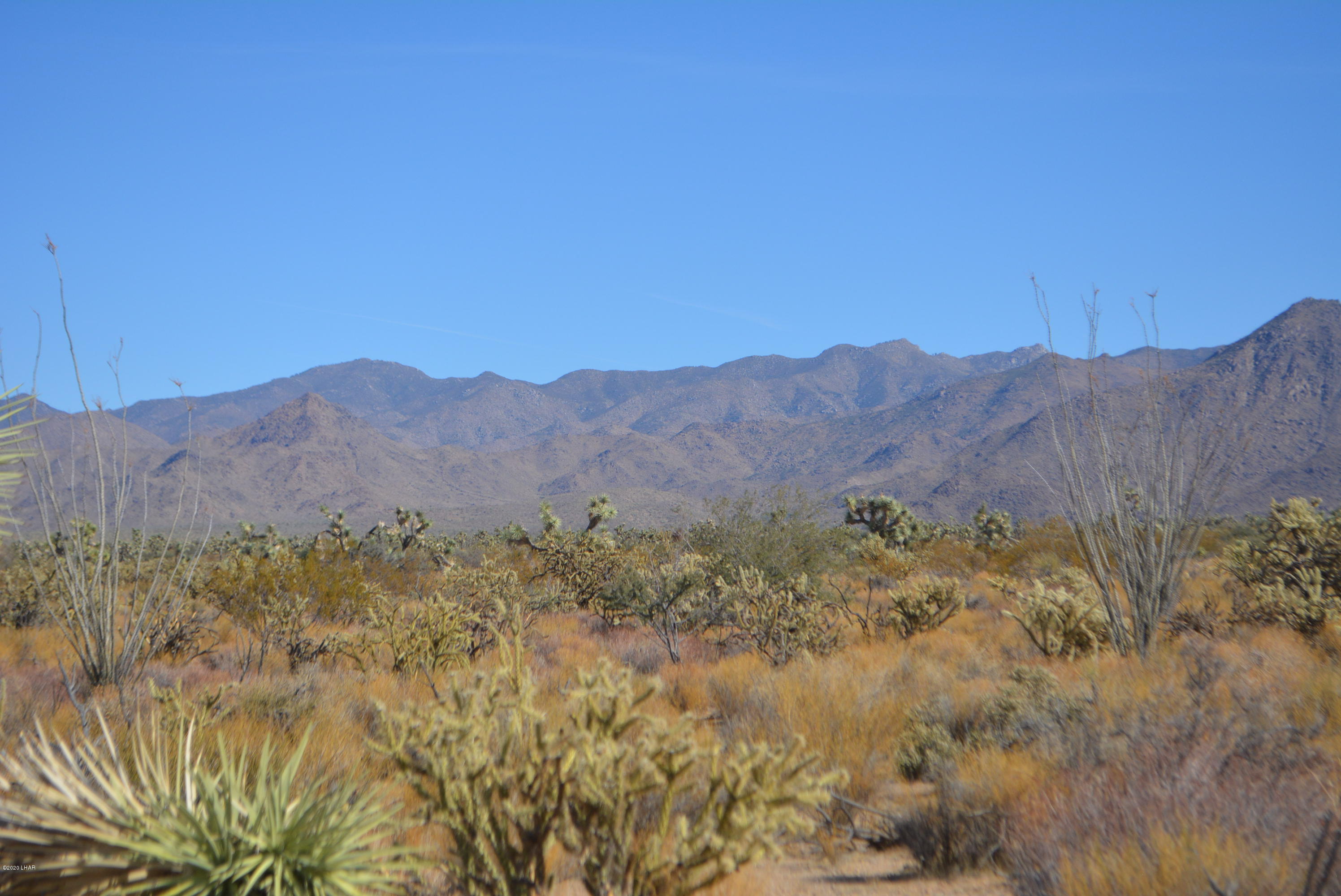 Lot 1026 Rimrock Road Yucca, AZ 86438 - Photo 6 of 35 DSC_0815