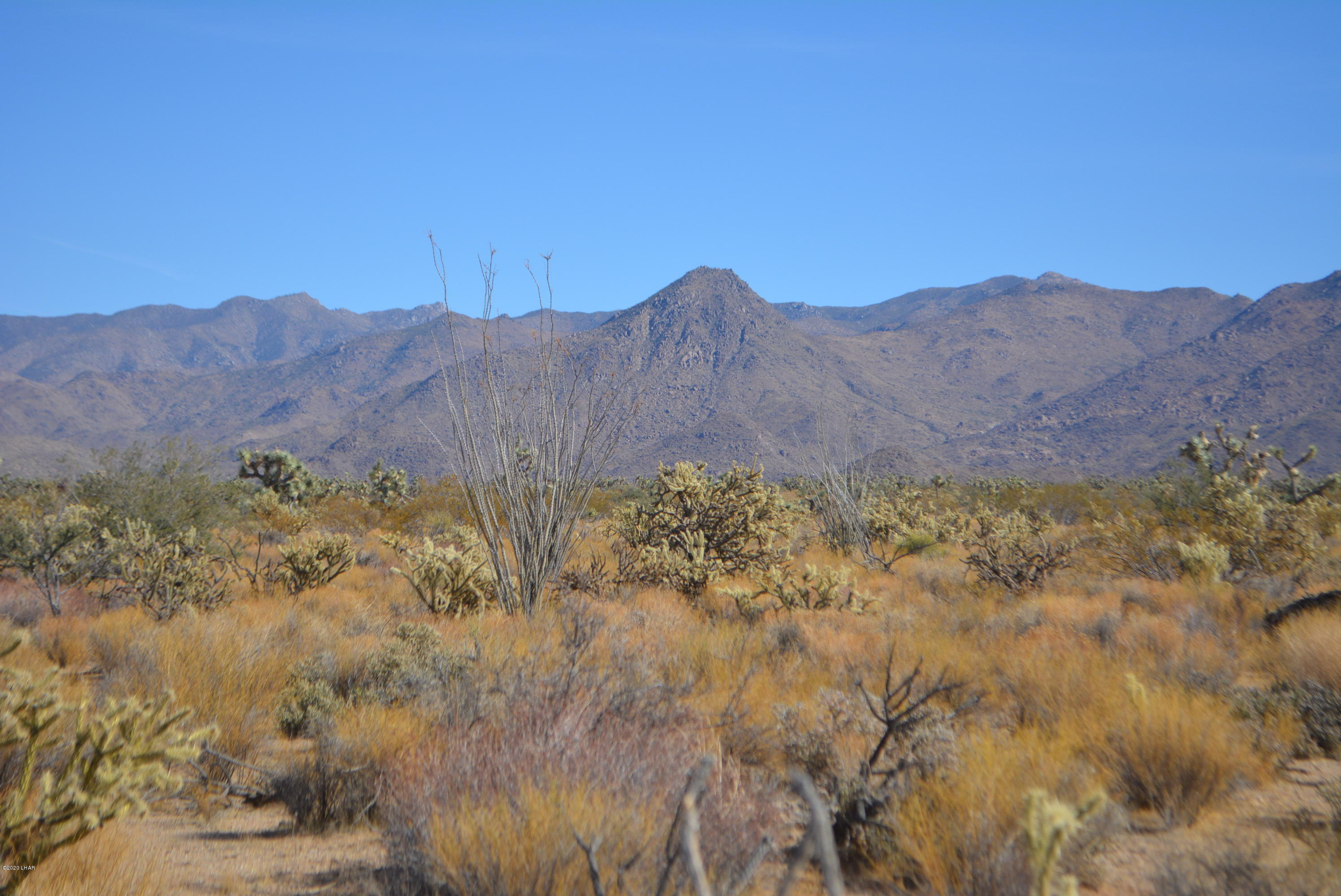 Lot 1026 Rimrock Road Yucca, AZ 86438 - Photo 7 of 35 DSC_0816