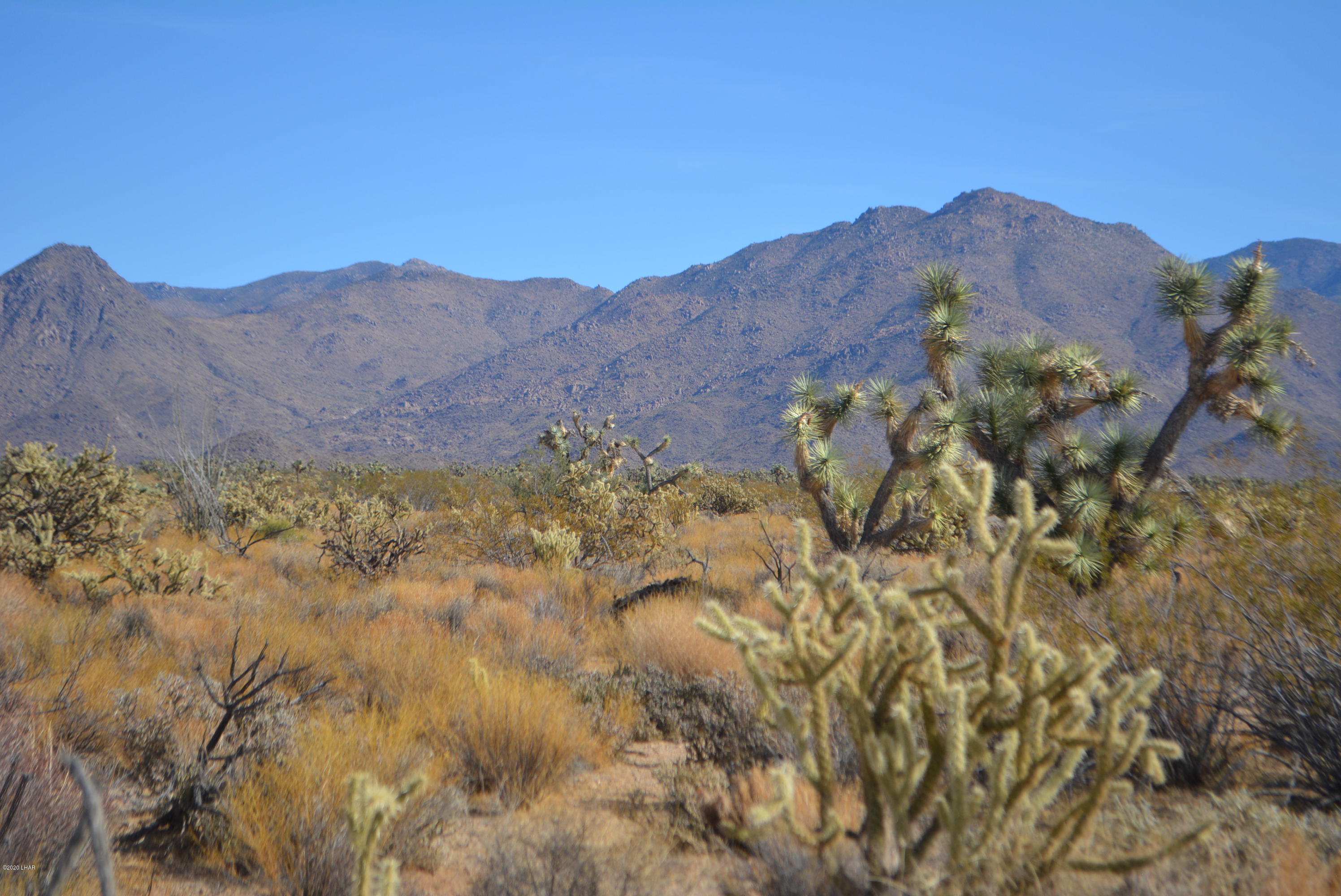 Lot 1026 Rimrock Road Yucca, AZ 86438 - Photo 8 of 35 DSC_0817
