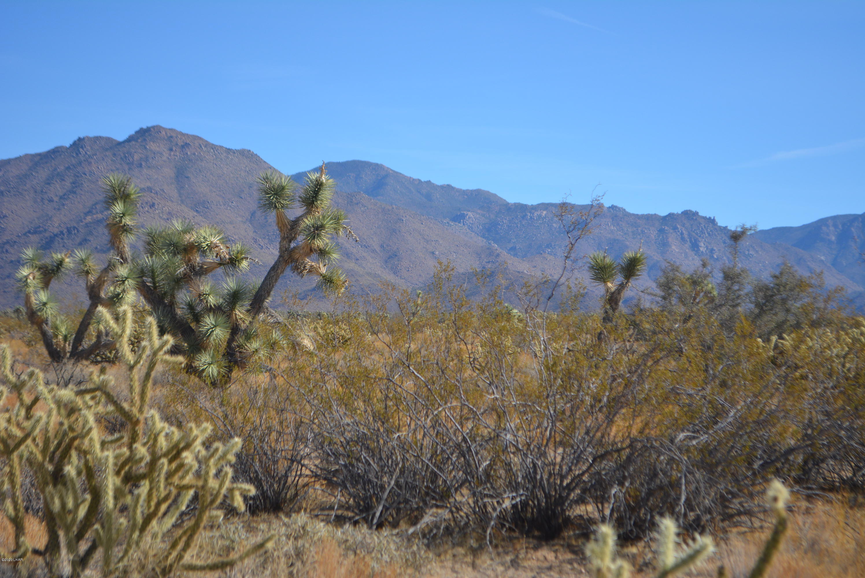 Lot 1026 Rimrock Road Yucca, AZ 86438 - Photo 9 of 35 DSC_0818