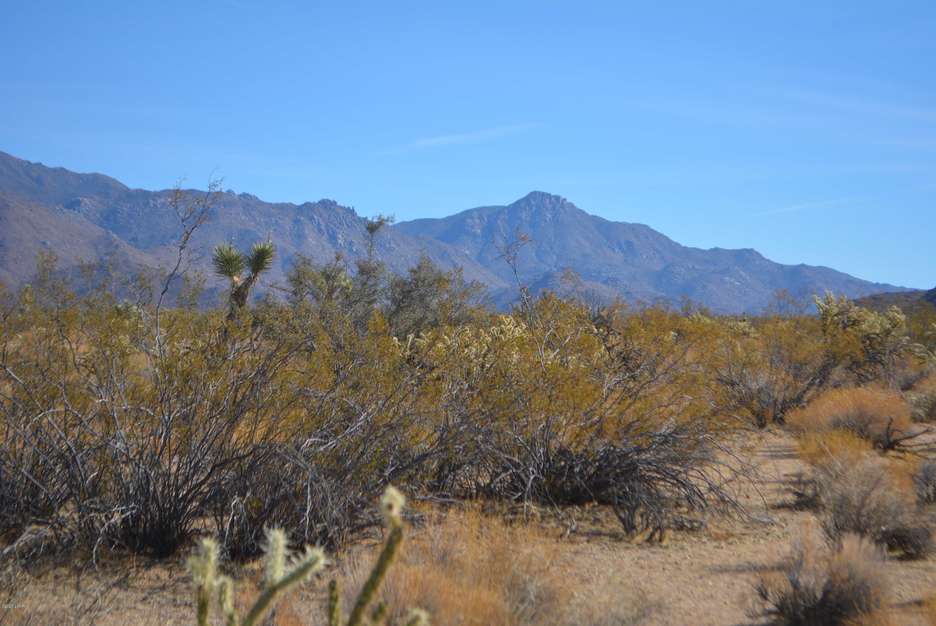 Lot 1026 Rimrock Road Yucca, AZ 86438 - Photo 10 of 35 DSC_0819