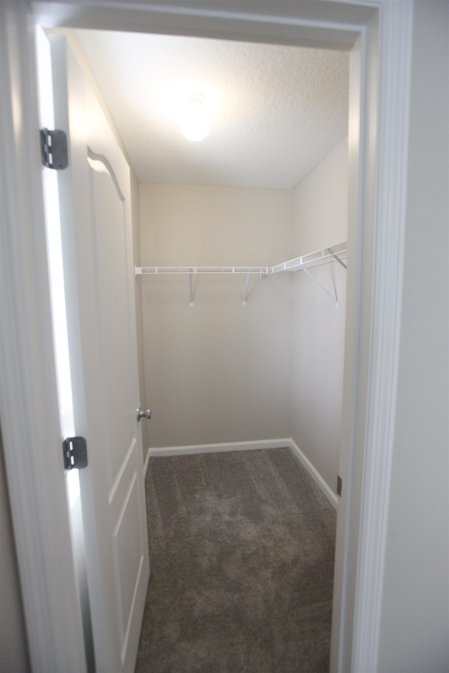 55 Great Star Street St. Augustine, FL 32086 - Photo 17 of 37 a bathroom with a glass shower door