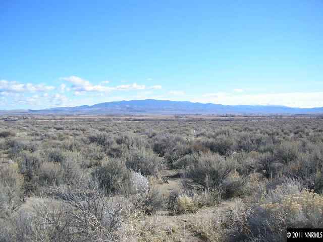 230 Lower Colony Road Wellington, NV 89444 - Photo 1 of 4 Photo 1