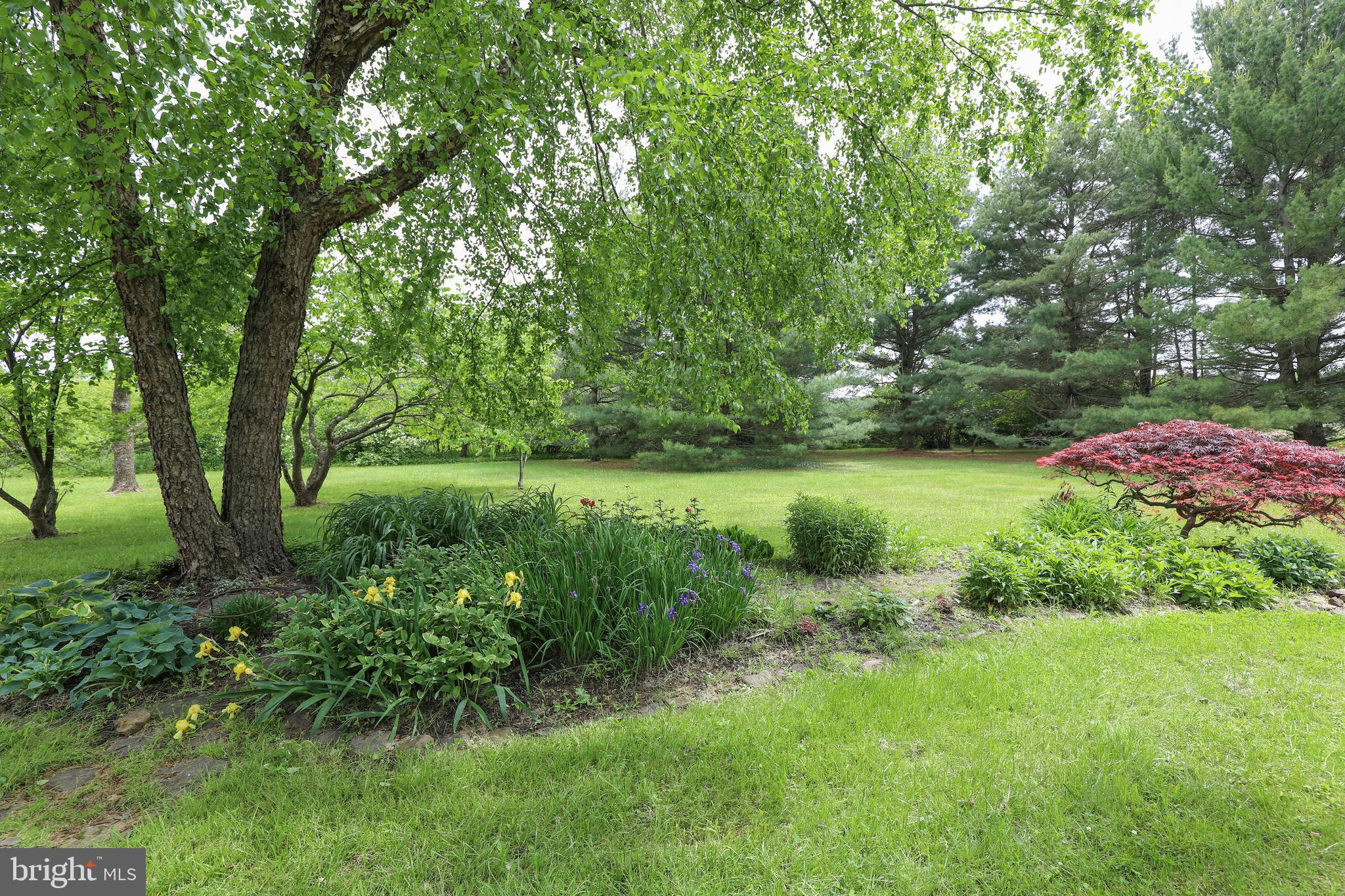 99 Spring Lane Pipersville, PA 18947 - Photo 50 of 55 Gallery Image 50