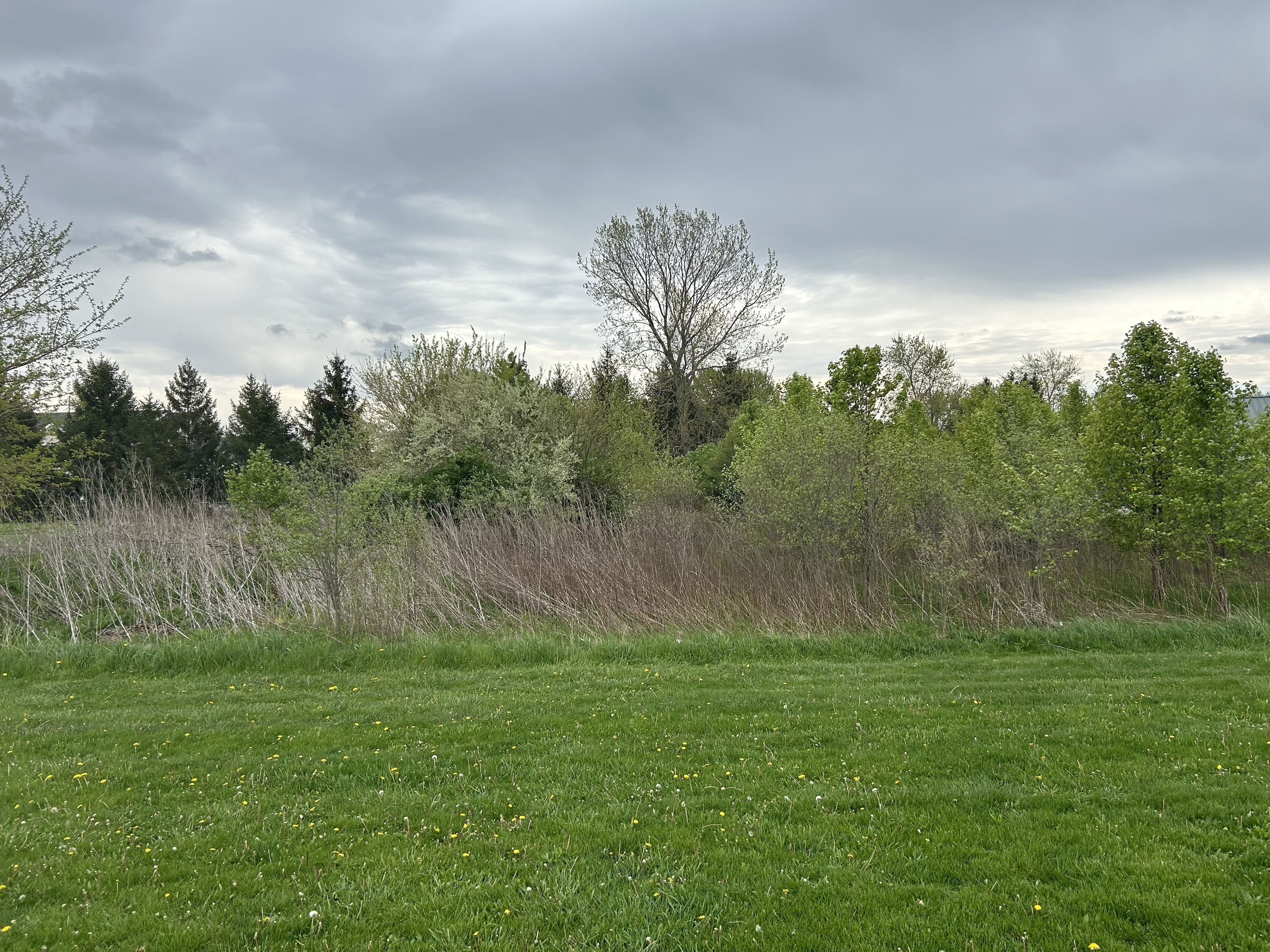 0 Enterprise Drive Pendleton, IN 46064 - Photo 4 of 6