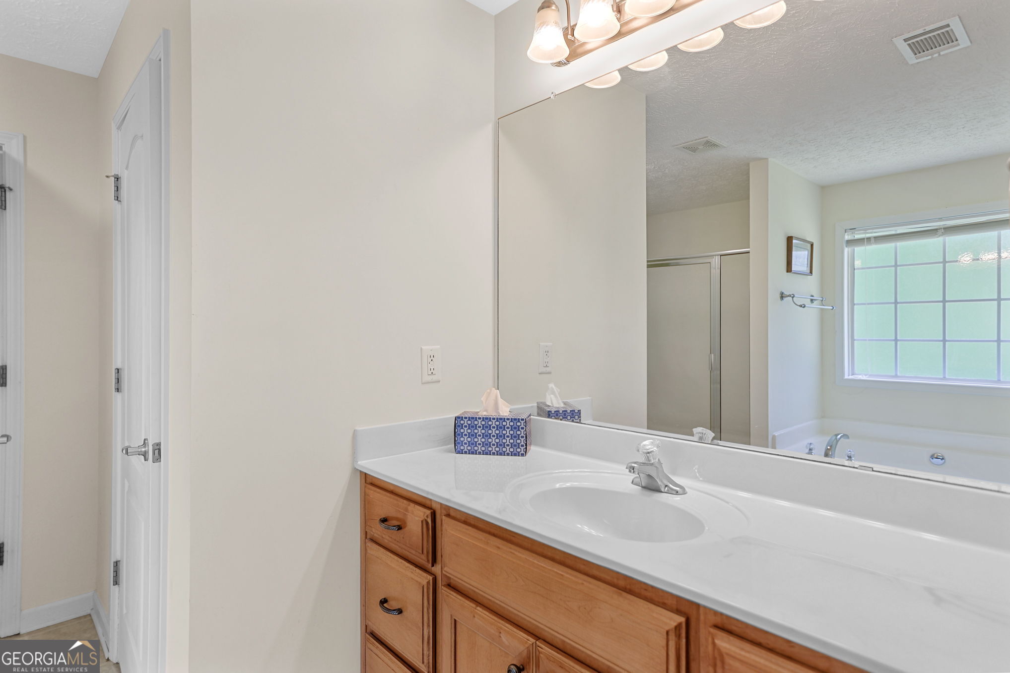 892 Brooks Woolsey Road Brooks, GA 30205 - Photo 20 of 45 a bathroom with a sink and a mirror