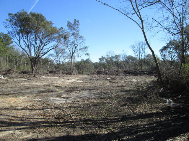 48 Odell Road Sandy Hook, MS 39478 - Photo 1 of 1 Main View