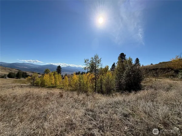 a view of a dry yard