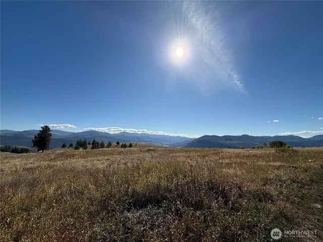 a view of a big yard and mountain view in back