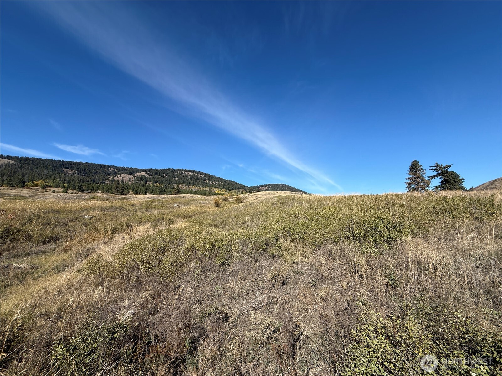 0 Honeysuckle Lane Curlew, WA 99118 - Photo 13 of 28 a view of ocean view with ocean