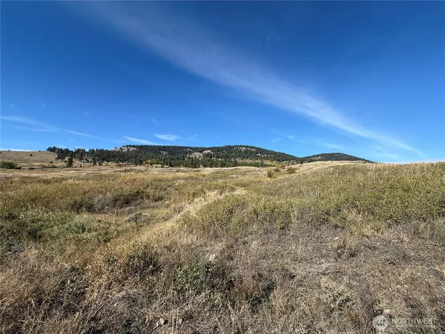 a view of a field with an ocean