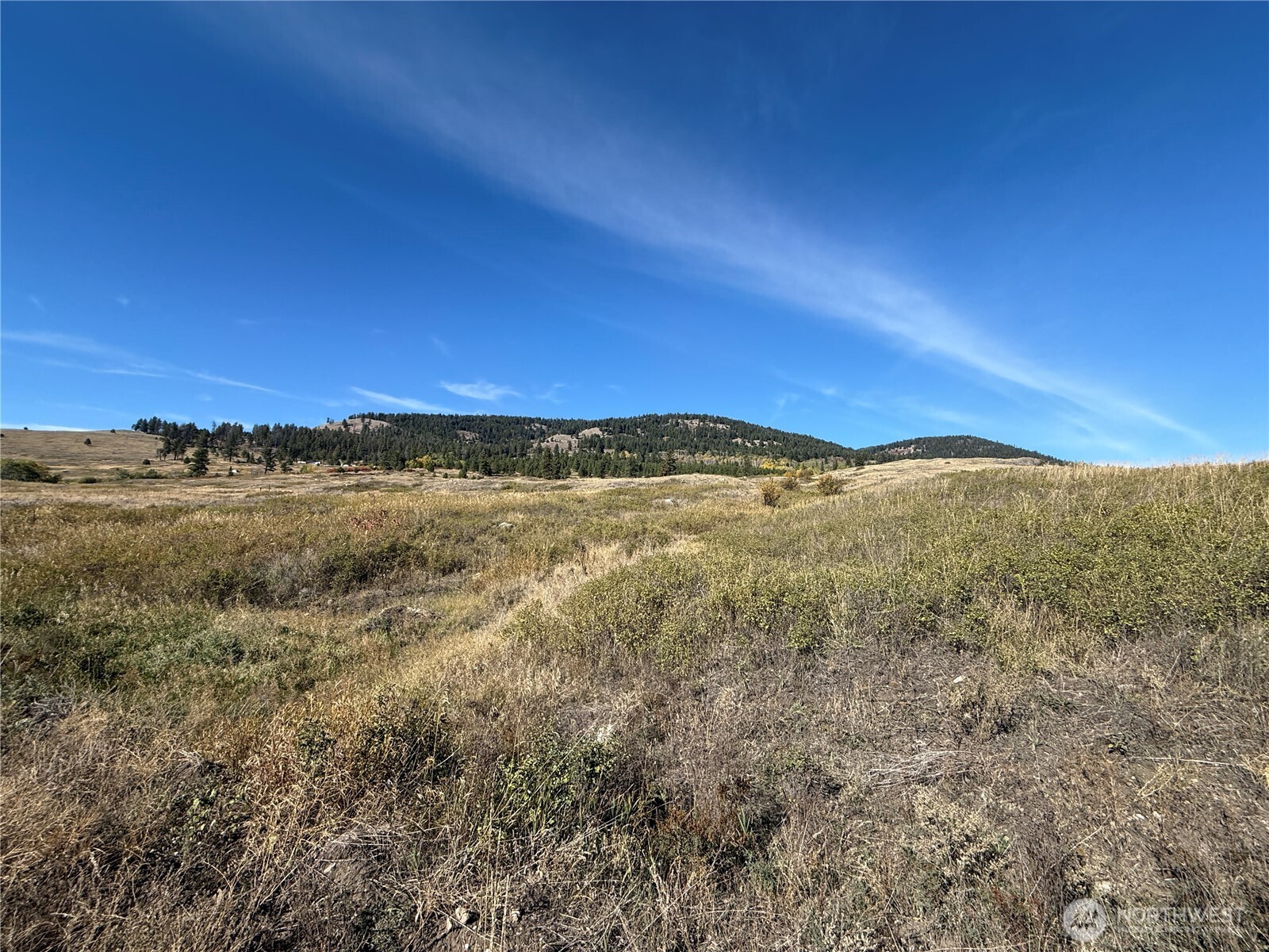 0 Honeysuckle Lane Curlew, WA 99118 - Photo 14 of 28 a view of a field with an ocean