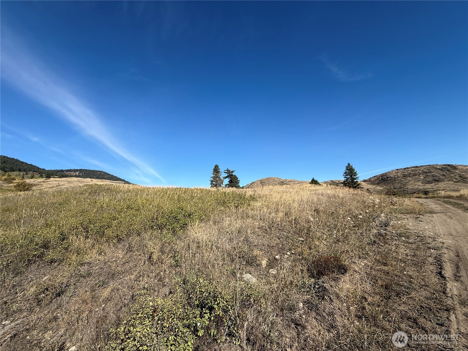 0 Honeysuckle Lane Curlew, WA 99118 - Photo 15 of 28 a view of mountain view and mountain