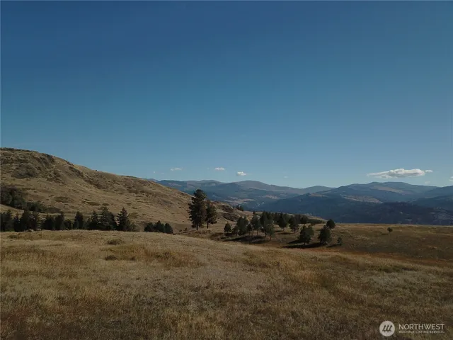 a view of a mountain