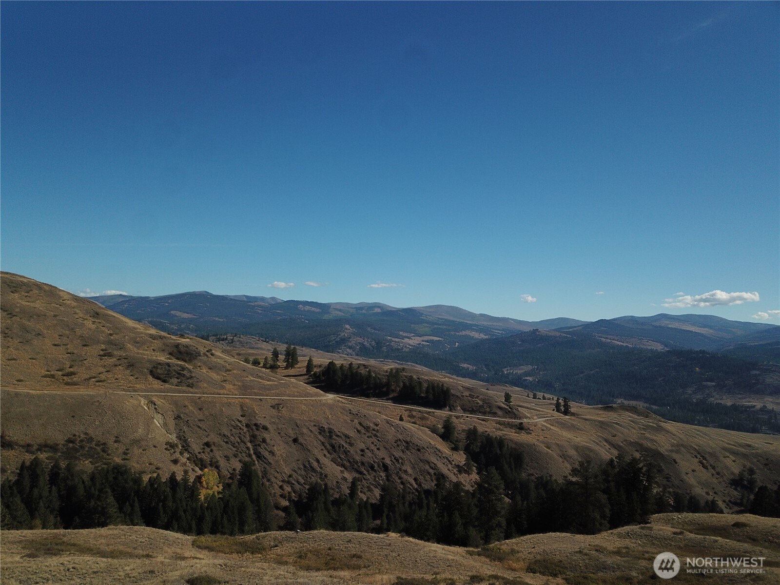 0 Honeysuckle Lane Curlew, WA 99118 - Photo 18 of 28 a view of a mountain