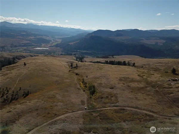 a view of a dry yard