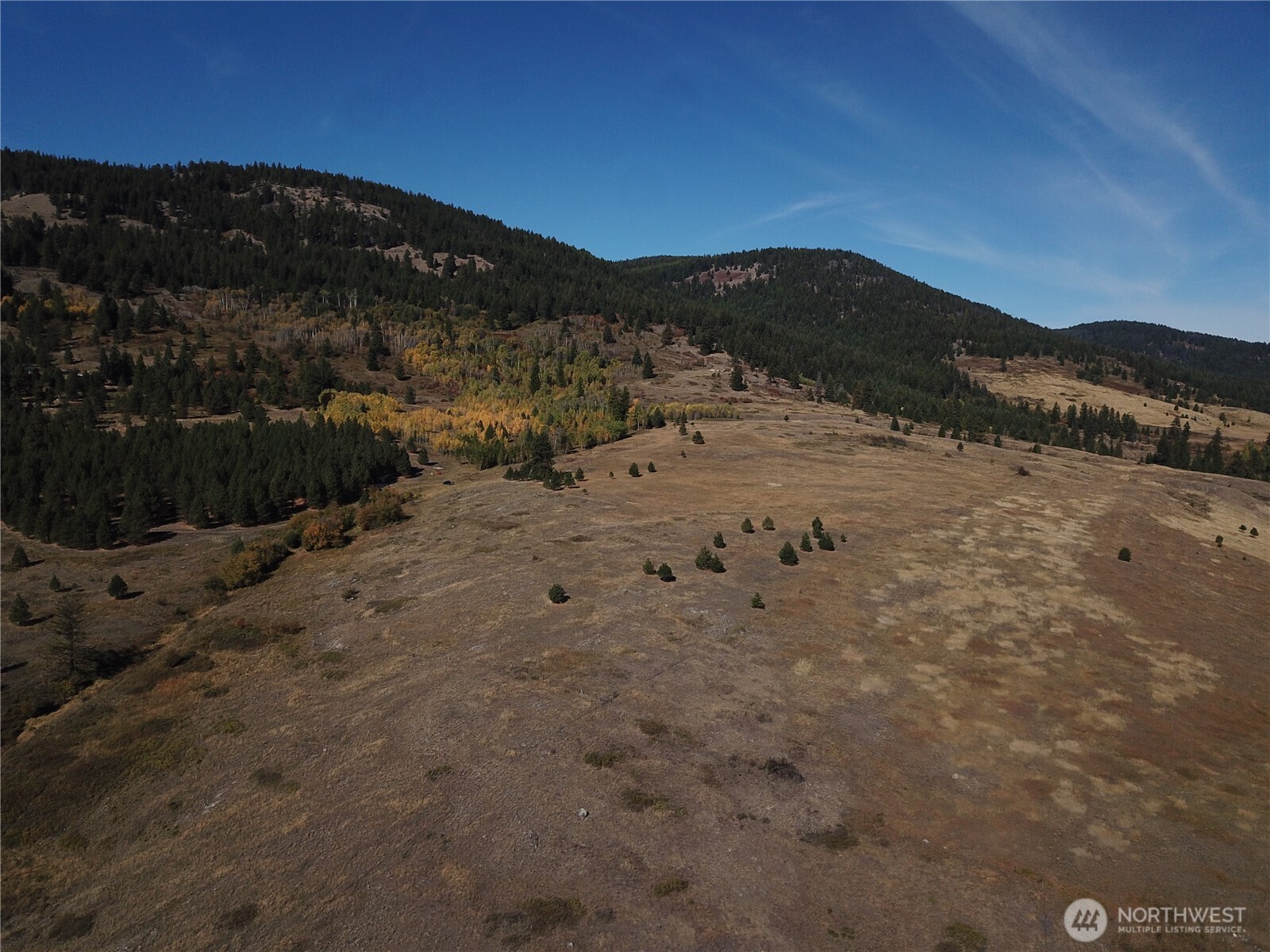 0 Honeysuckle Lane Curlew, WA 99118 - Photo 23 of 28 a view of a dry yard