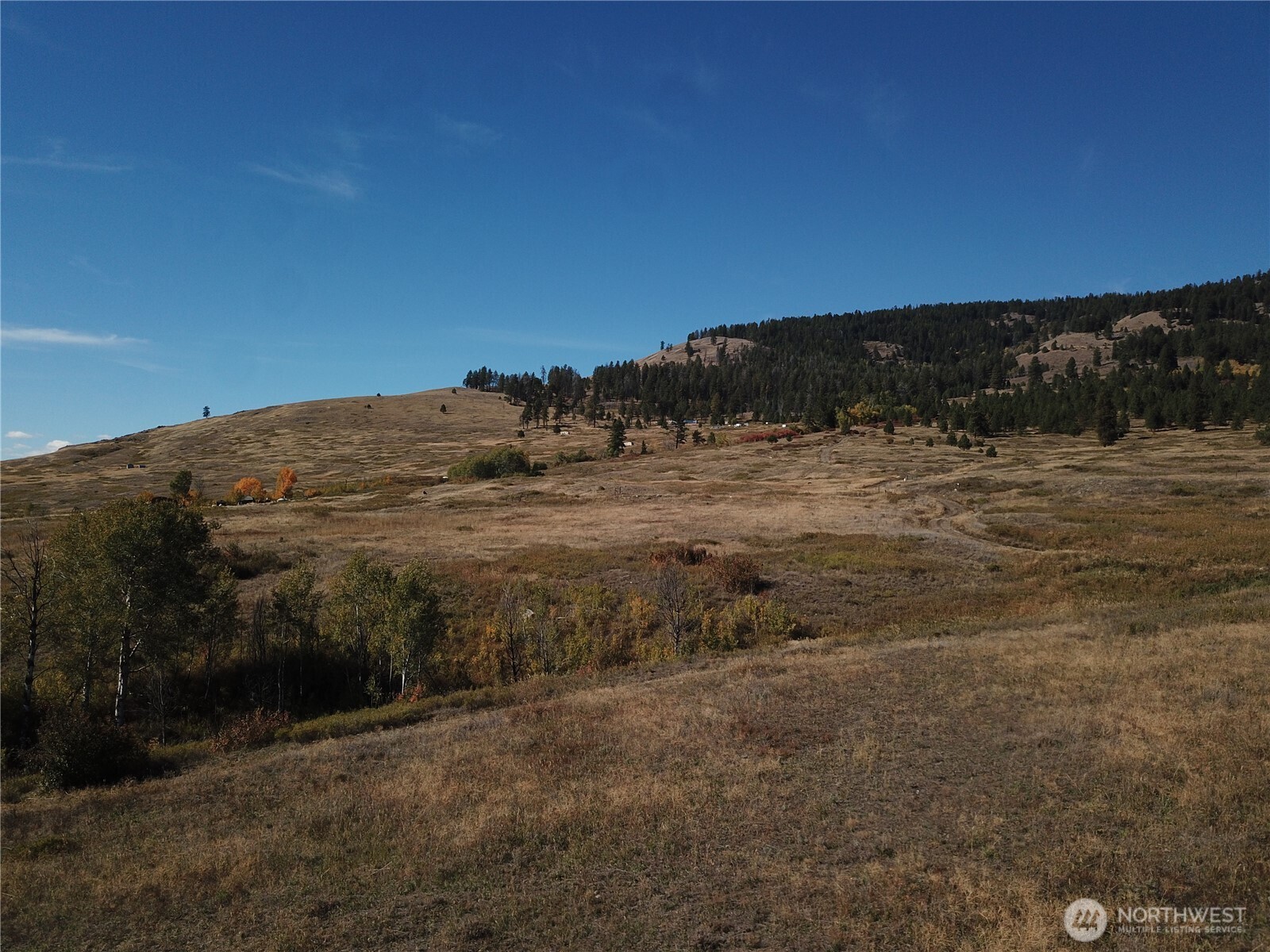 0 Honeysuckle Lane Curlew, WA 99118 - Photo 26 of 28 a view of ocean view with mountain