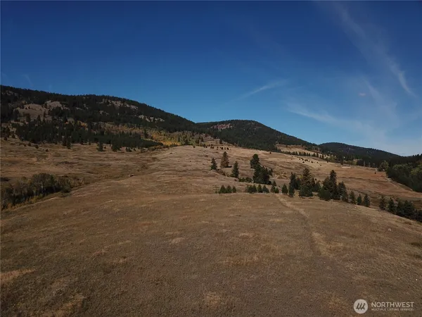 $199,000 | 0 Honeysuckle Lane, Curlew, WA 99118