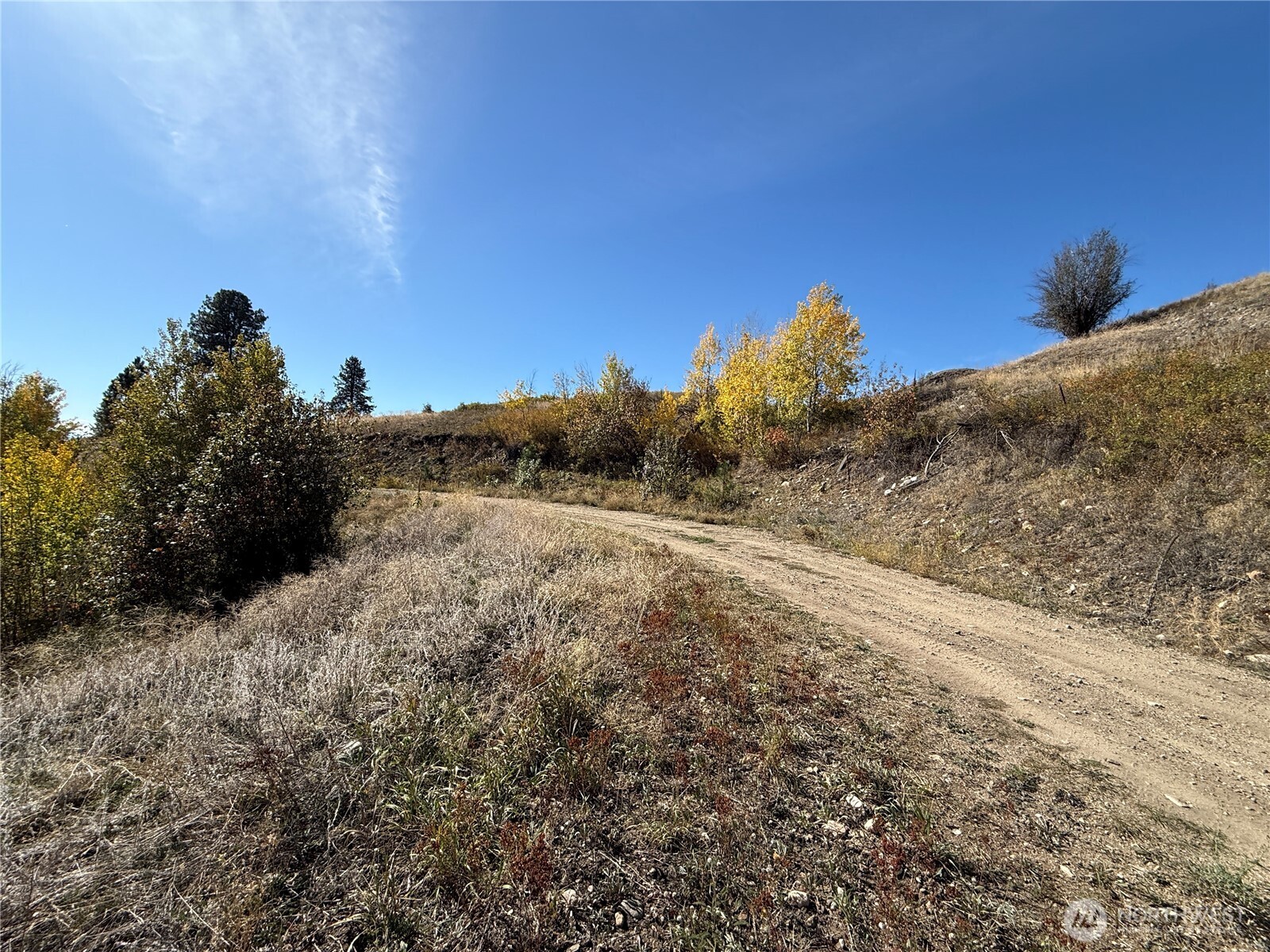 0 Honeysuckle Lane Curlew, WA 99118 - Photo 4 of 28 a view of a road with a building in the background