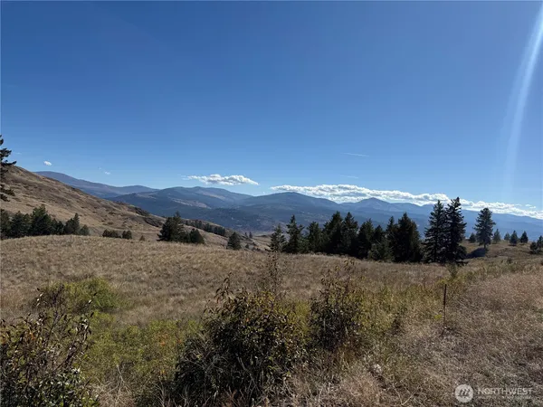 a view of a dry yard with mountains in the background
