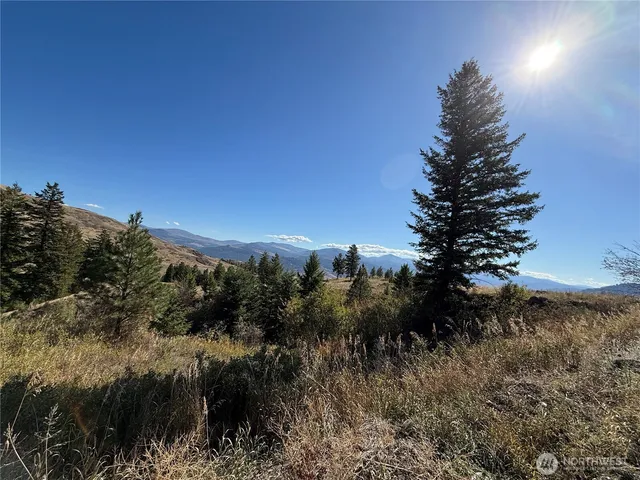 a view of a yard with a tree
