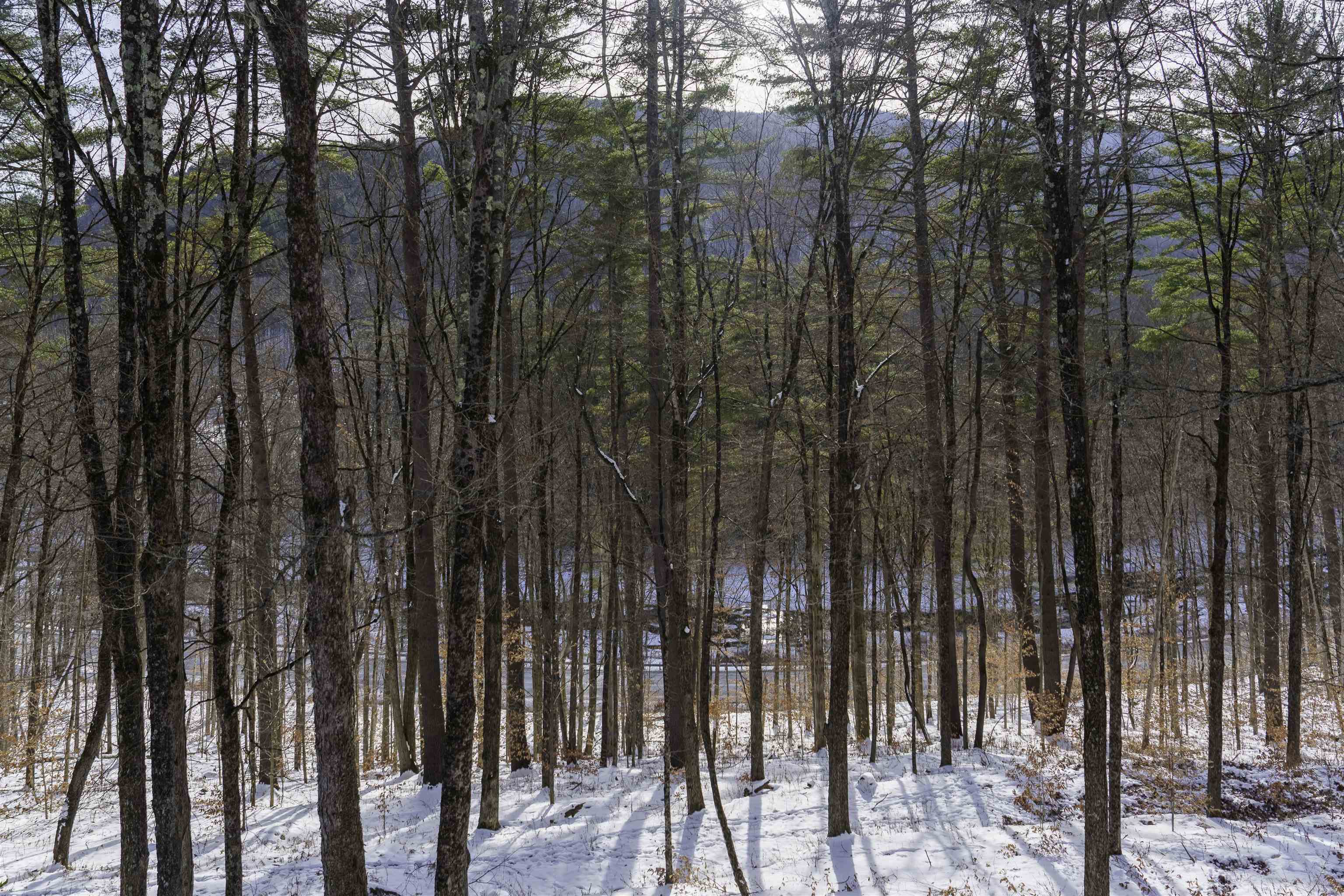 354 Grout Road Weathersfield, VT 05151 - Photo 13 of 57