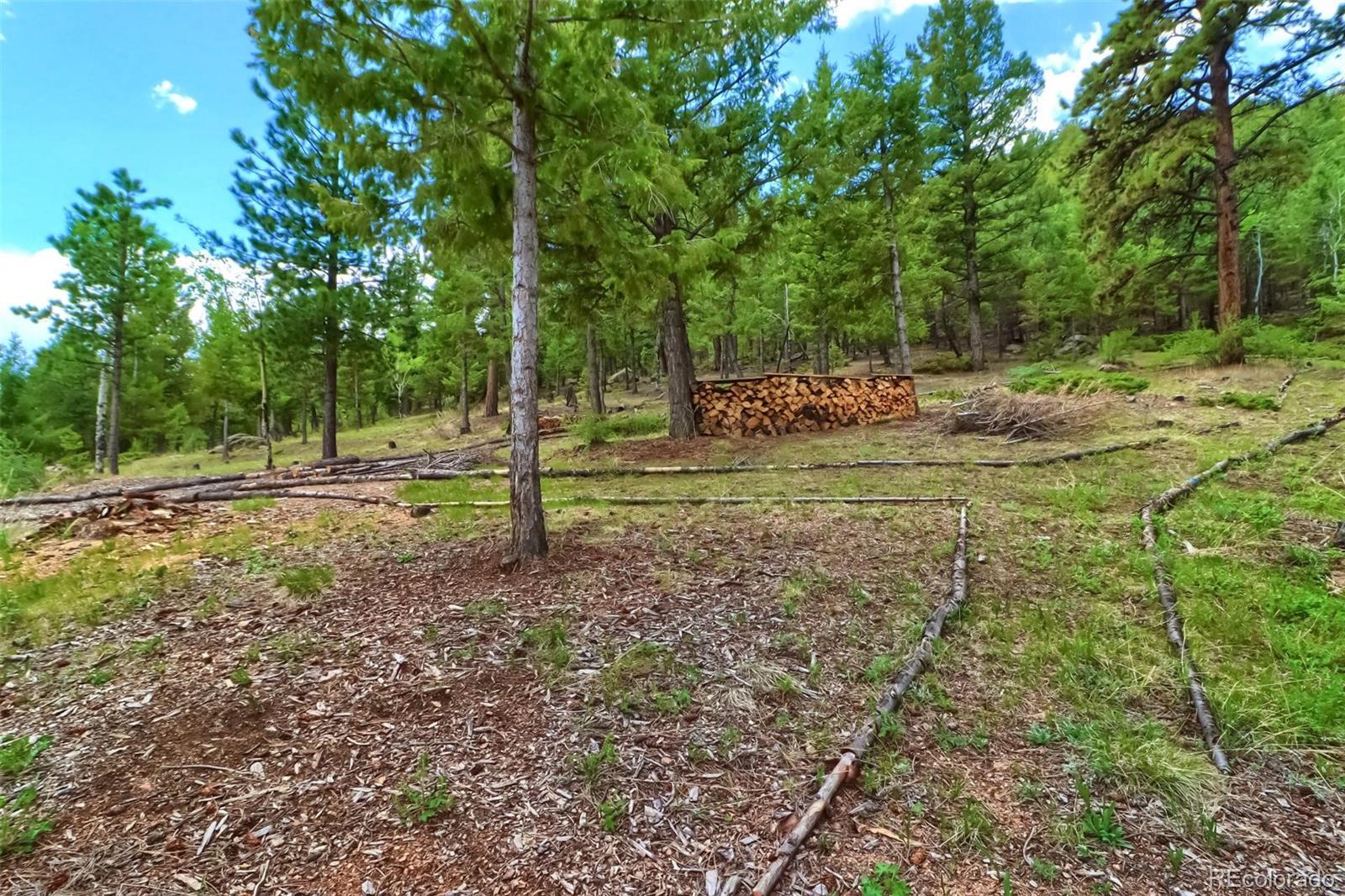 14425 Reserve Road Pine, CO 80470 - Photo 38 of 40 Gallery Image 38