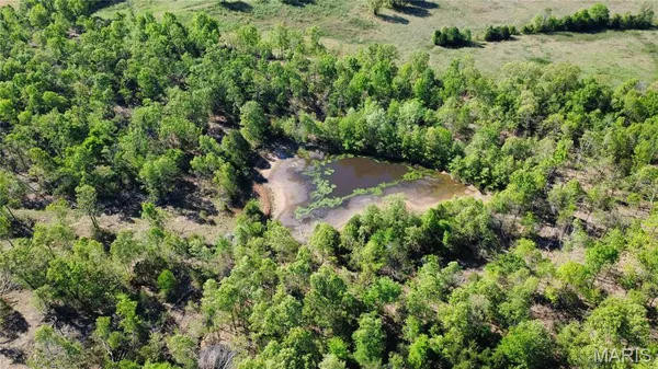 $359,000 | 8620 State Highway 21 South, Doniphan, MO 63935