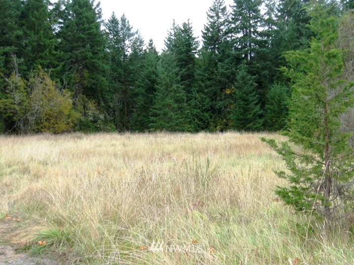 2001 Palo Alto Road Sequim, WA 98382 - Photo 1 of 5