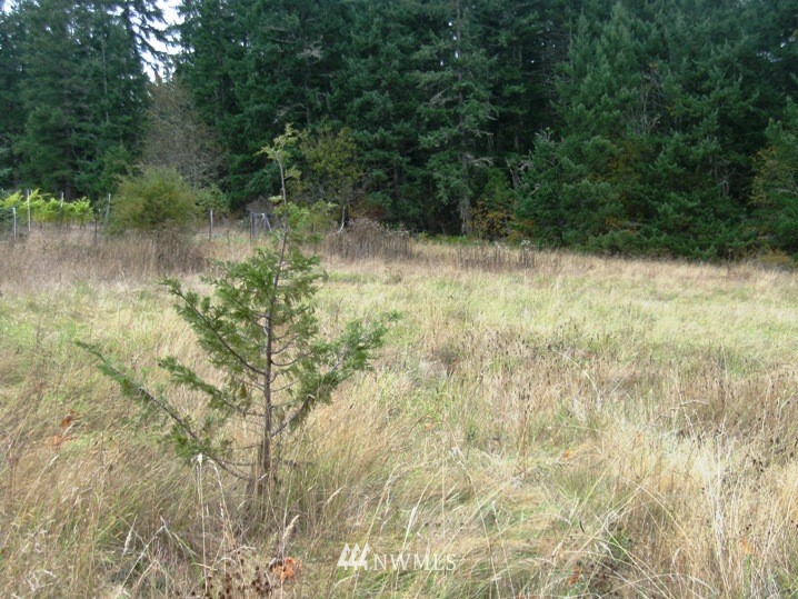2001 Palo Alto Road Sequim, WA 98382 - Photo 3 of 5