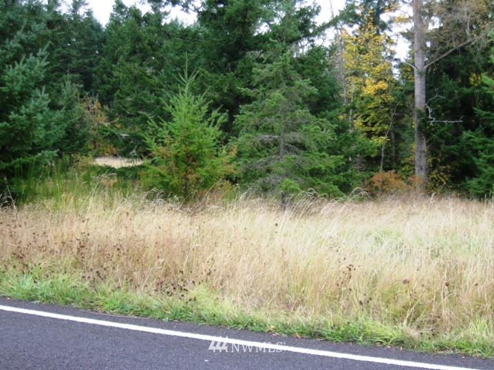 2001 Palo Alto Road Sequim, WA 98382 - Photo 5 of 5