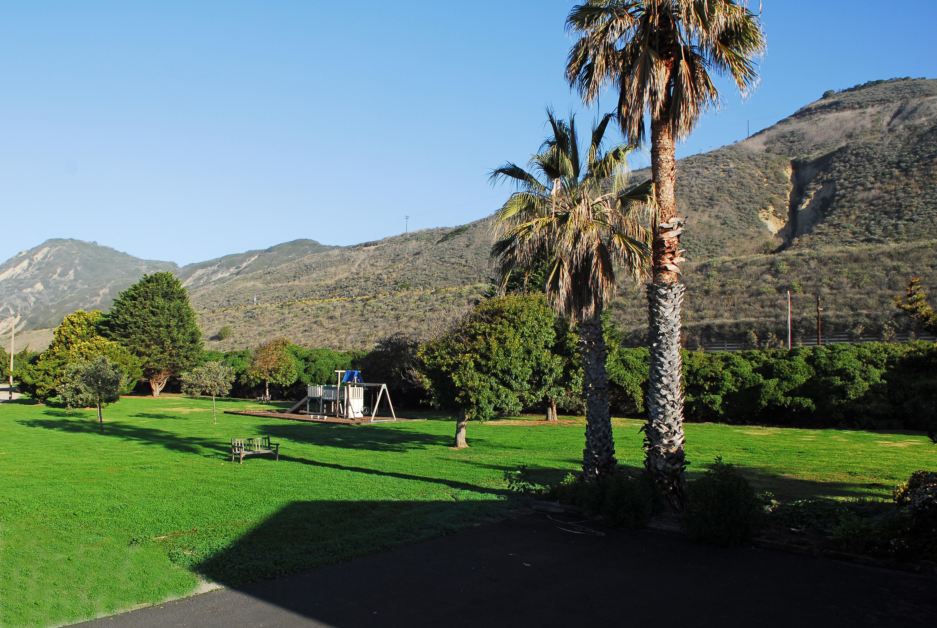 3108 Solimar Beach Drive Ventura, CA 93001 - Photo 20 of 22 a view of a park with a palm trees