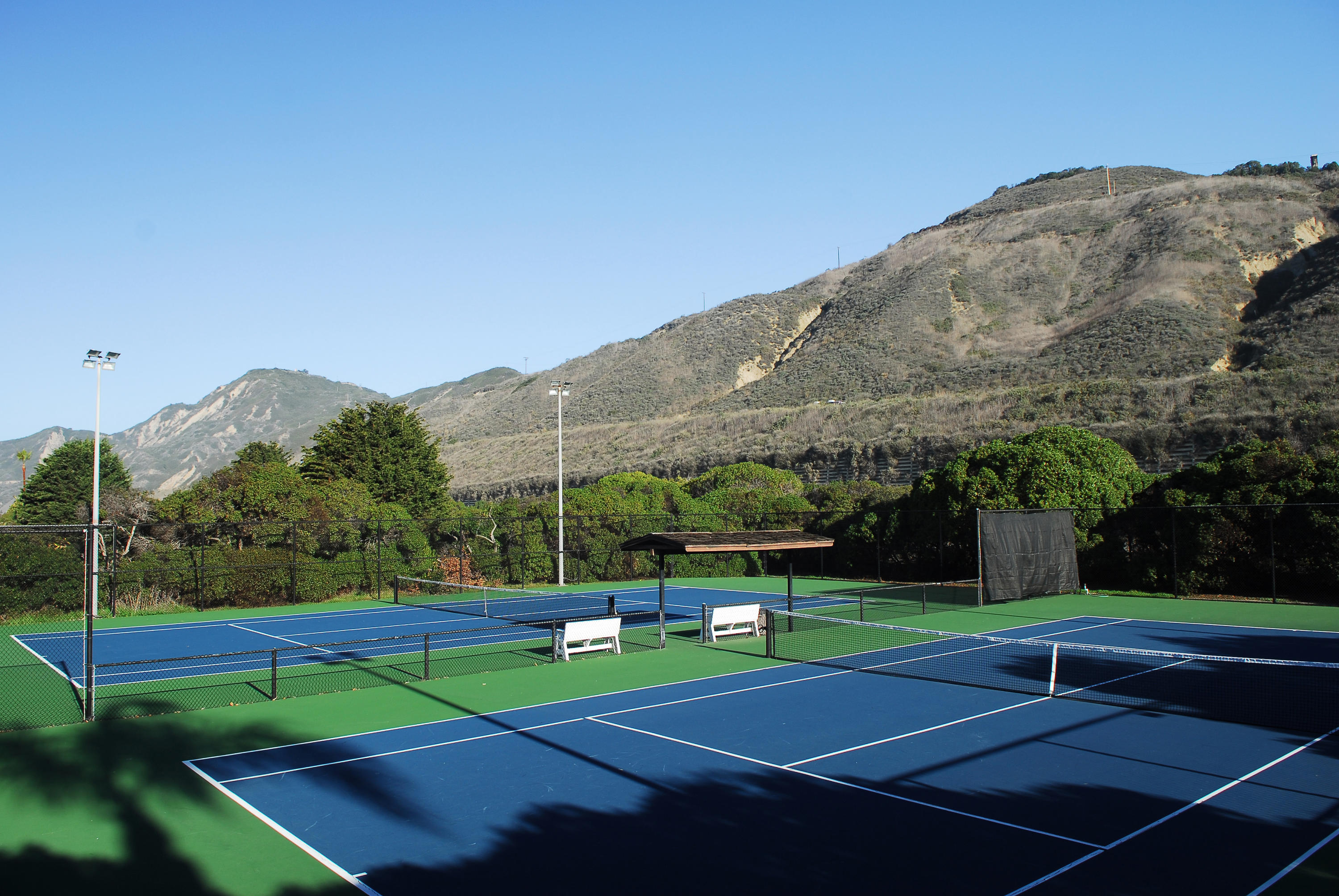3108 Solimar Beach Drive Ventura, CA 93001 - Photo 21 of 22 a view of a tennis ground with large trees
