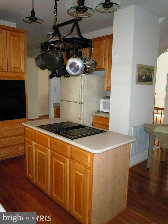 13315 Copper Ridge Road Germantown, MD 20874 - Photo 14 of 29 Kitchen Island w/ custom pot rack