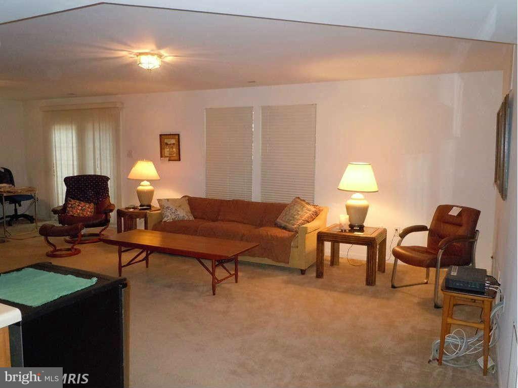 13315 Copper Ridge Road Germantown, MD 20874 - Photo 25 of 29 Lower Level Recreation Room