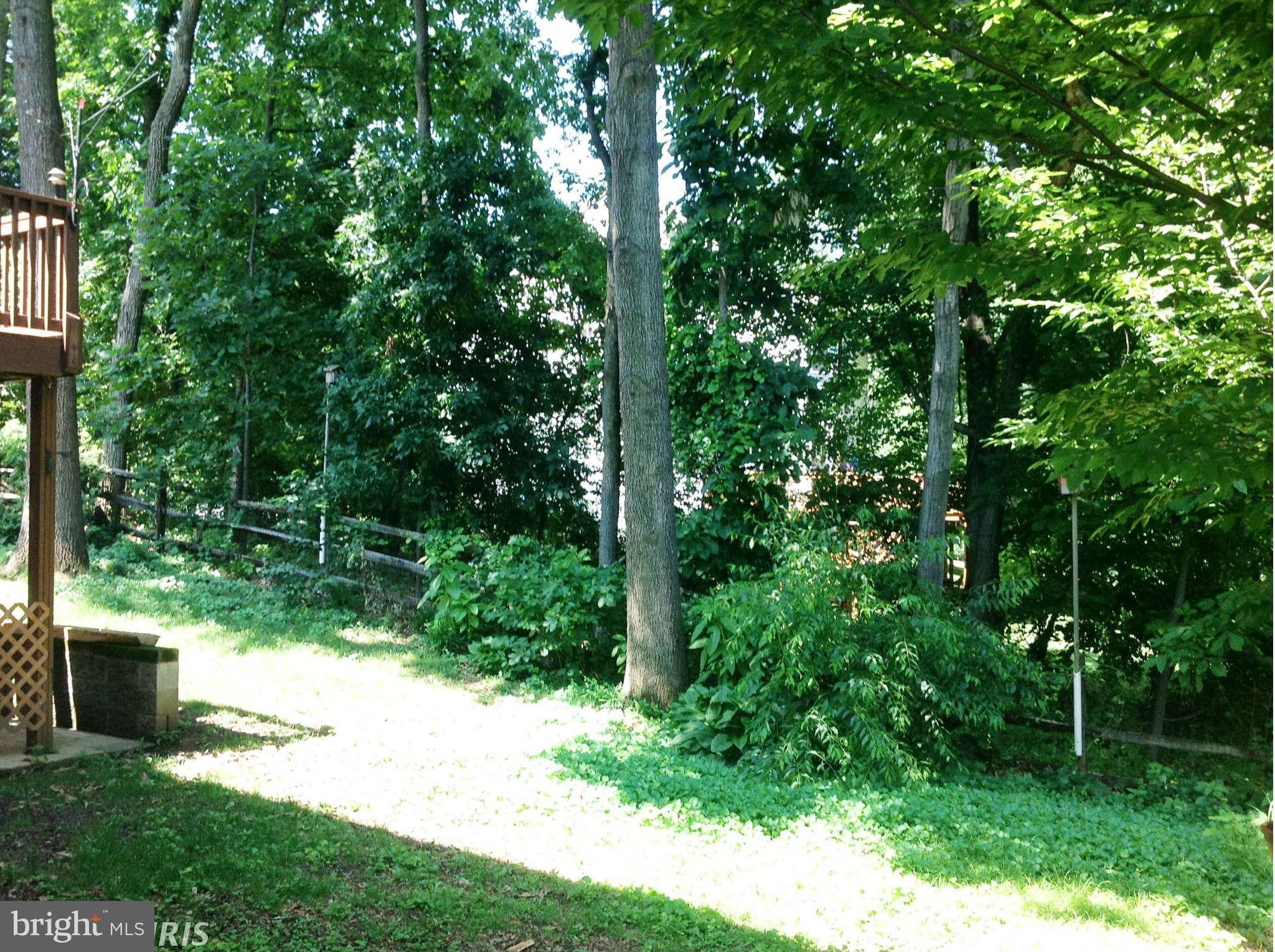 13315 Copper Ridge Road Germantown, MD 20874 - Photo 6 of 29 View from the rear