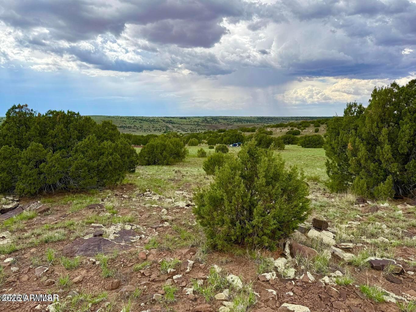 121-125 & 129 Co Road Concho, AZ 85924 - Photo 5 of 17 20260727072915840372000000-o