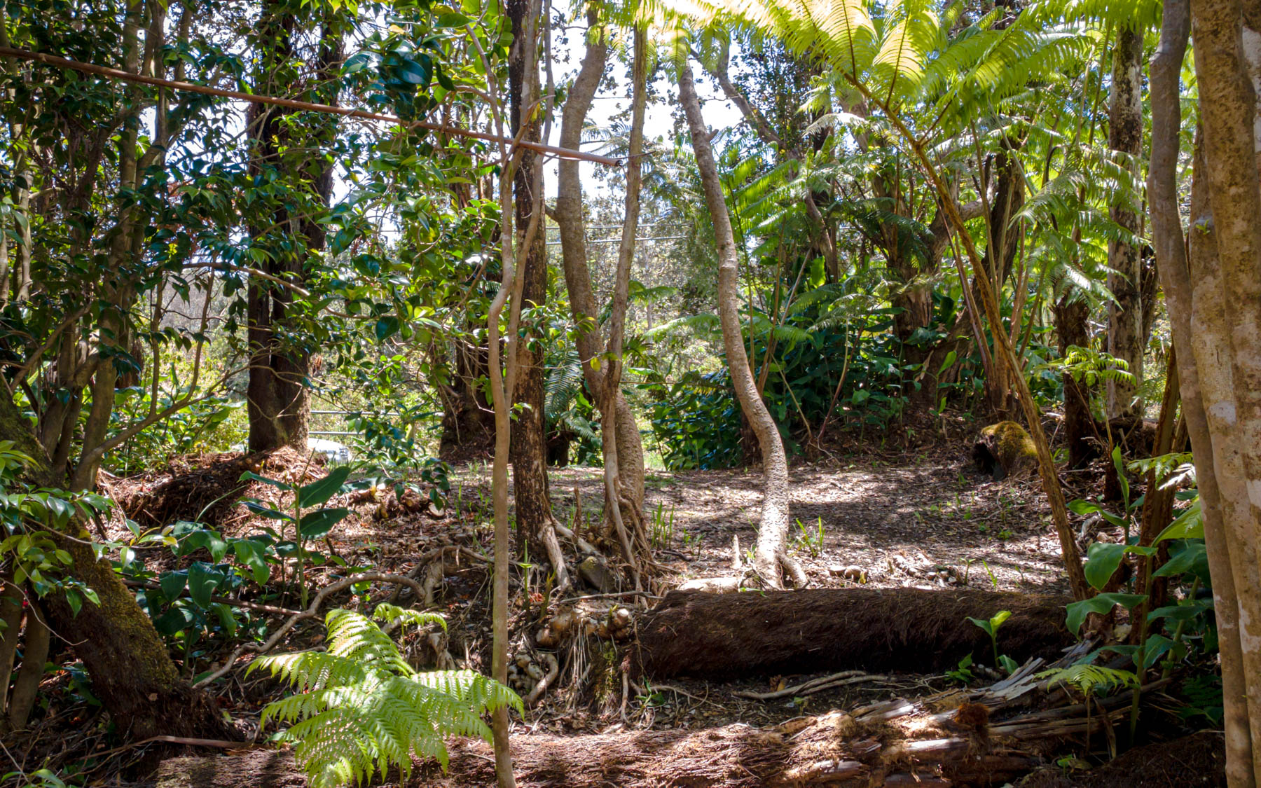 19-4144 Haunani Road Volcano, HI 96785 - Photo 30 of 30