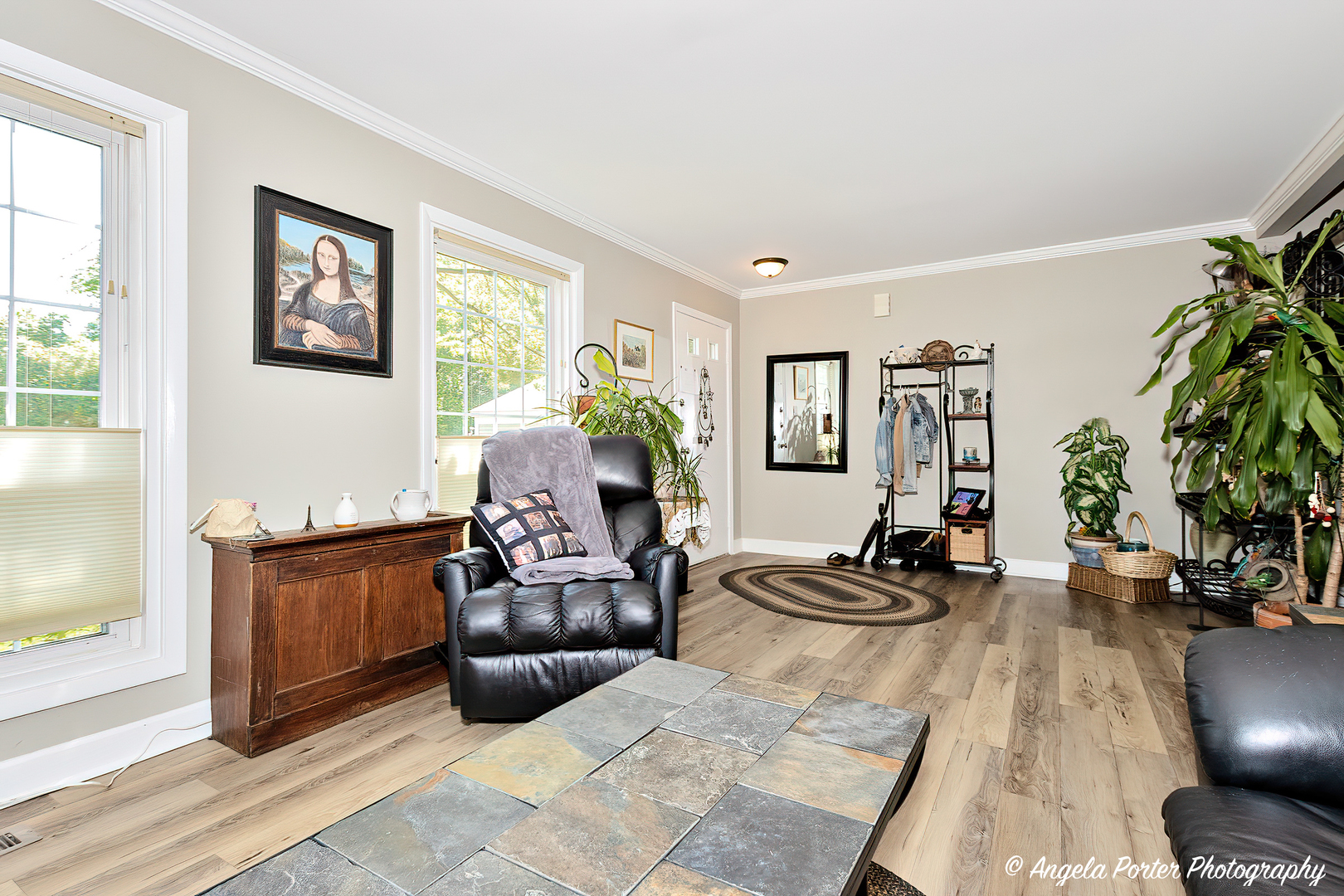 122 Bright Oaks Circle Cary, IL 60013 - Photo 4 of 28 a living room with furniture potted plant and a window
