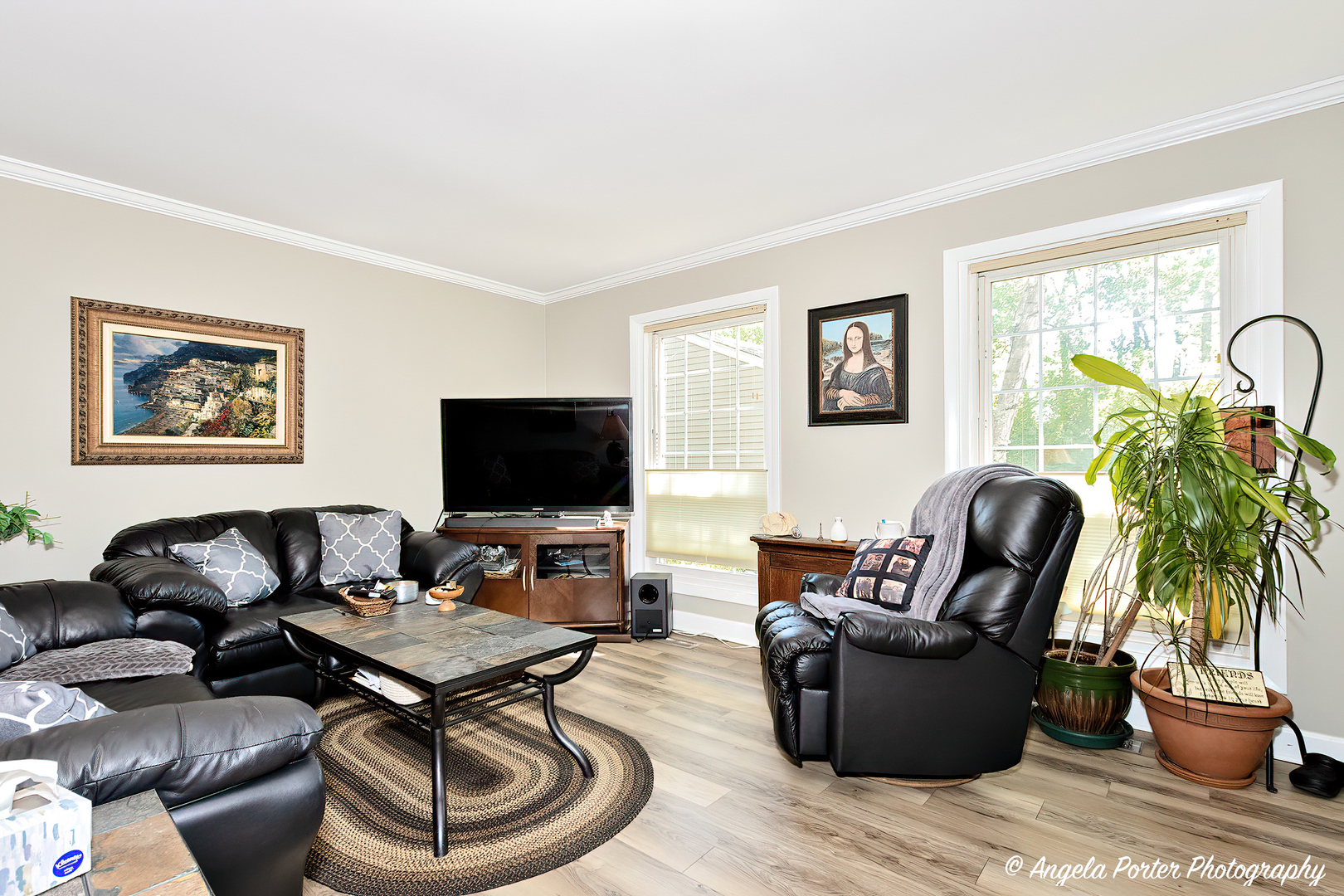 122 Bright Oaks Circle Cary, IL 60013 - Photo 5 of 28 a living room with furniture potted plant and a flat screen tv