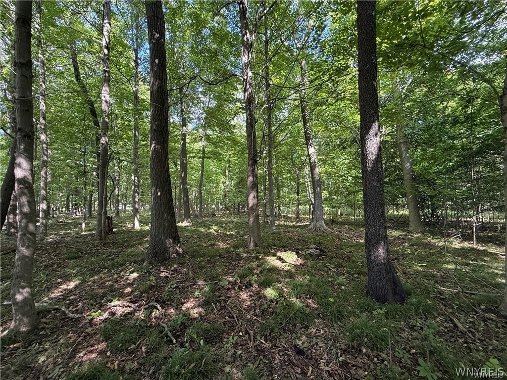V/l Jones Road Clarence, NY 14031 - Photo 3 of 5
