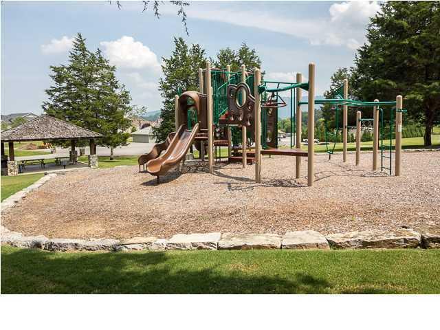 810 Renaissance Court Chattanooga, TN 37419 - Photo 29 of 40 Renaissance Playground!