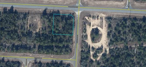 $17,000 | Lot 6 Washington Boulevard, Chipley, FL 32428