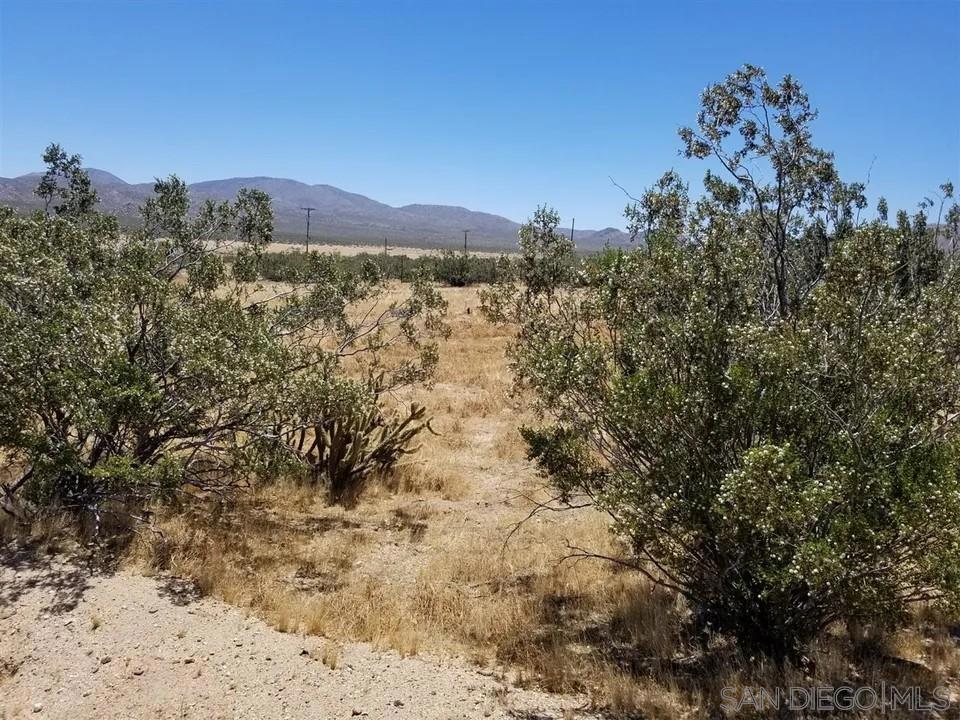 7438 Overland Stage Road Julian, CA 92036 - Photo 7 of 7