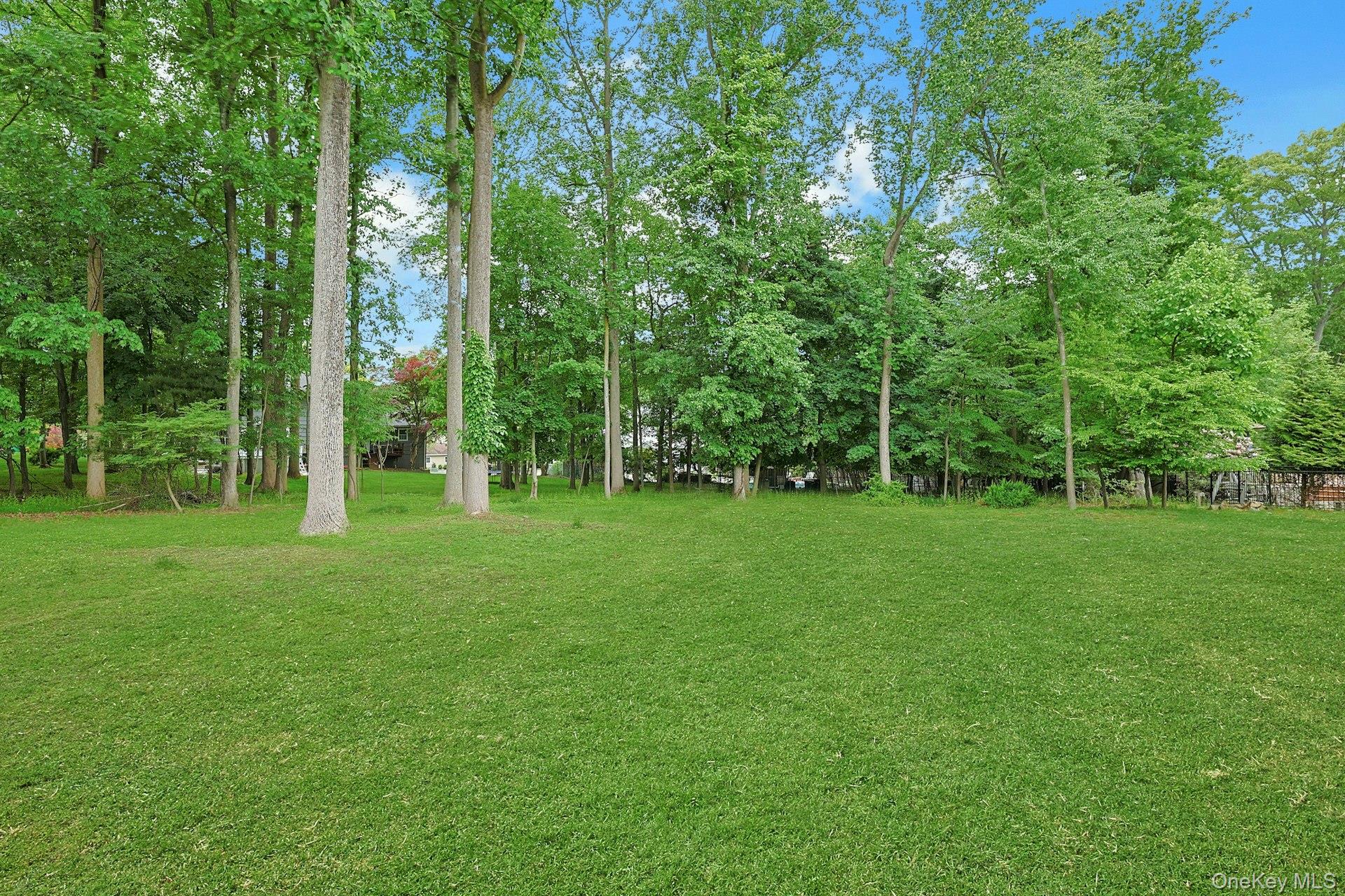 8 Dunmore Road New City, NY 10956 - Photo 42 of 48 a view of a park with trees in the background