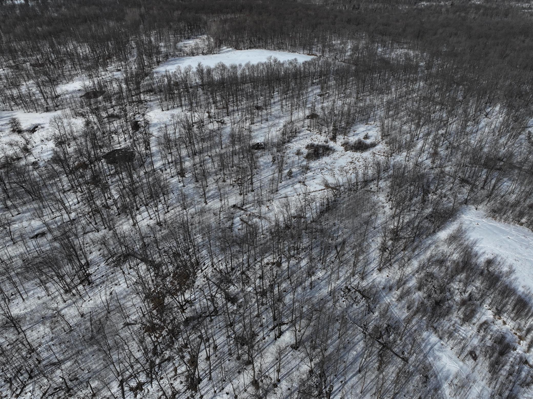 42810 Co Highway 26 Rochert, MN 56578 - Photo 15 of 78