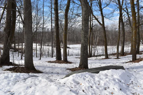 $649,000 | 42810 Co Highway 26, Rochert, MN 56578