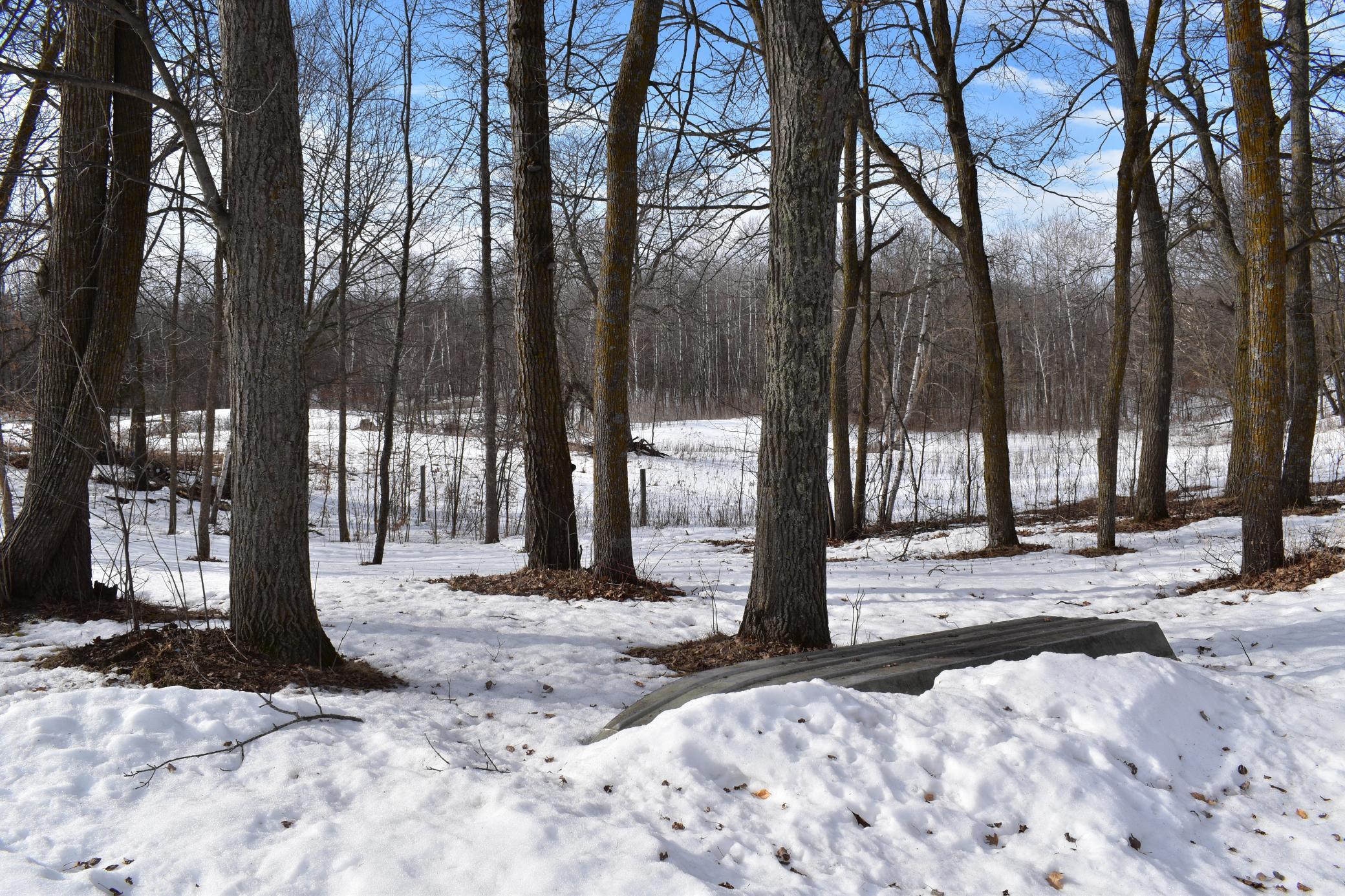 42810 Co Highway 26 Rochert, MN 56578 - Photo 18 of 78