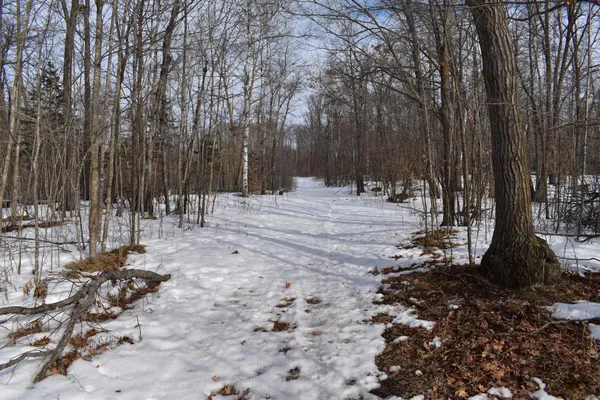 $649,000 | 42810 Co Highway 26, Rochert, MN 56578